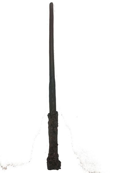 Wovna Harry Potter Scepter 30 Cm And Black Framed Harry Potter Glasses Set