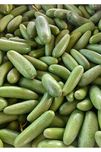 GB Tropikal Bebek Avokado ( 1 KG )