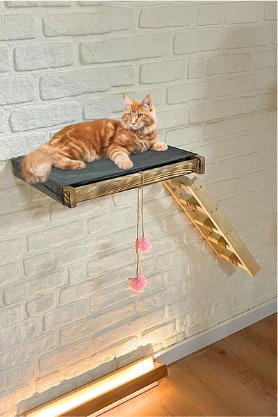 BUSHOP Antique Cat House - Ladder and Bed Set, Right Left Compatible, Wall Mounted Cat Hammock