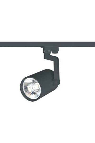 Cata CT-5334 30 WATT CASTOR SİYAH KASA RAY SPOT BEYAZ
