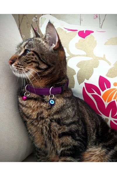 stylie Handmade Cat Collar with Evil Eye Beads and Bells, Anti-Strangulation Safe Clip, Purple