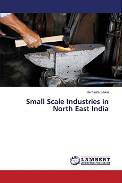 Ingram Internatıonal Inc الصناعات الصغيرة في شمال شرق الهند