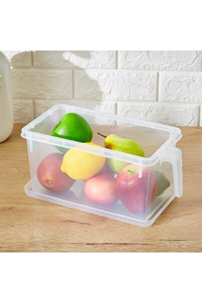 Home Box Vega Storage Organiser with Handle - 29.5x15.5x14 cm