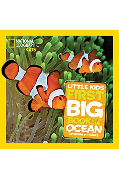 GBS Grantham Book Service Ngk Kids First Big Book Ocean