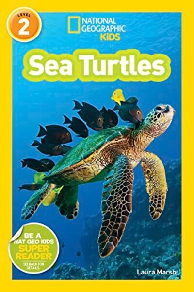 GBS Grantham Book Service Ngk Readers Sea Turtles L2