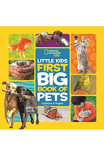 GBS Grantham Book Service Ngk First Big Book Of Pets