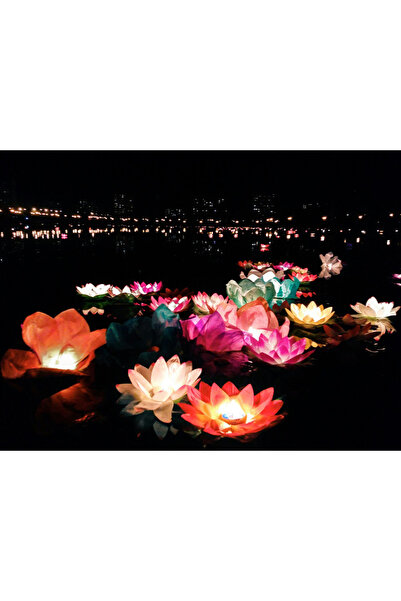 Skygo نيلوفر فانوس الماء