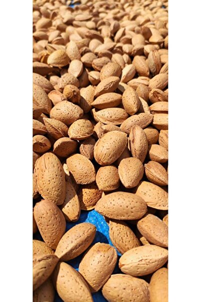 Ardıçlı Bahçe 3 Kg Kalıntı Analizli Kabuklu Badem Kendi Bahçemizden Yerli Üre...