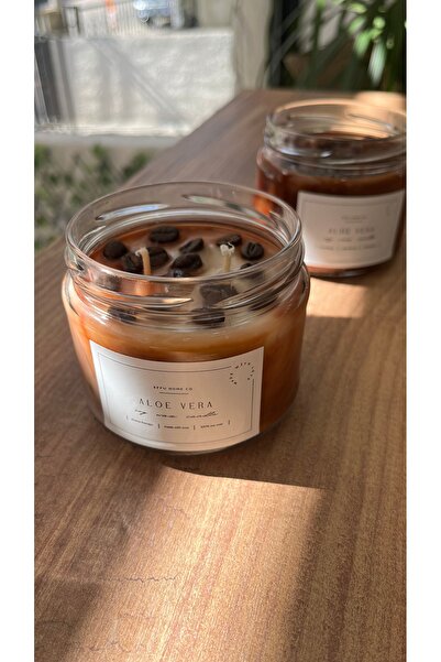 EFFU HOME COLLECTION Aloe Vera Kokulu Kavanoz Mum