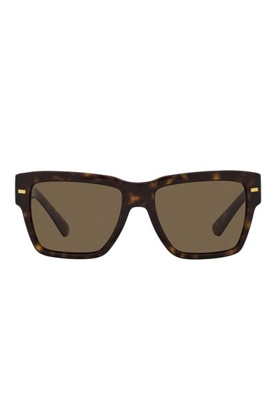 Dolce&Gabbana حذاء رياضي DOLCE GABBANA 4431 - 502/73 55 موديل