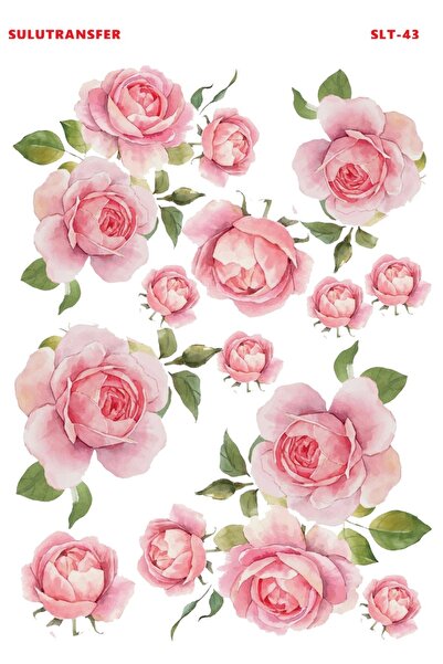 Buhobi Çiğdem Işık Sulu Transfer SLT043 25x35cm