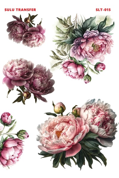 Buhobi Çiğdem Işık Sulu Transfer SLT015 25x35cm