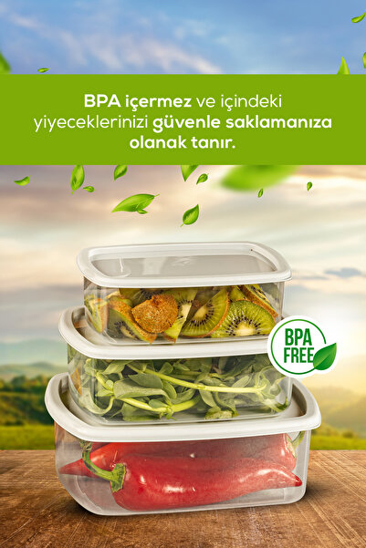 Evlinya Set of 4 Airtight Storage Containers Grey 1X(250-500-750-1200 ml)