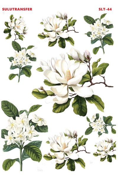 Buhobi Çiğdem Işık Sulu Transfer SLT044 25x35cm