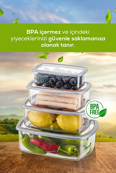 Evlinya Anthracite 4-Piece Airtight Storage Set - 250/500/750/1200 ML