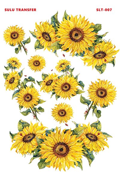 Buhobi Çiğdem Işık Sulu Transfer SLT007 25x35cm