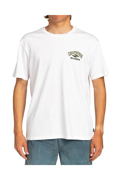 BİLLABONG Billabong Arch Dreamy Place Men's T-Shirt EBYZT00107