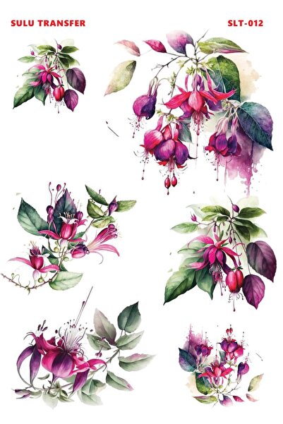 Buhobi Çiğdem Işık Sulu Transfer SLT012 25x35cm