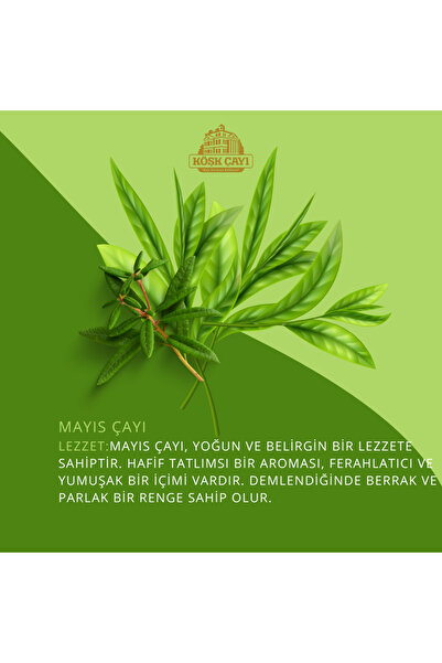 KÖŞK ÇAYI BUSELİK İlk Hasat Çayı Köşk Çay