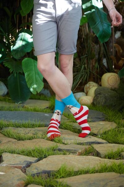 CARNAVAL SOCKS Цветни чорапи с шарка на морж