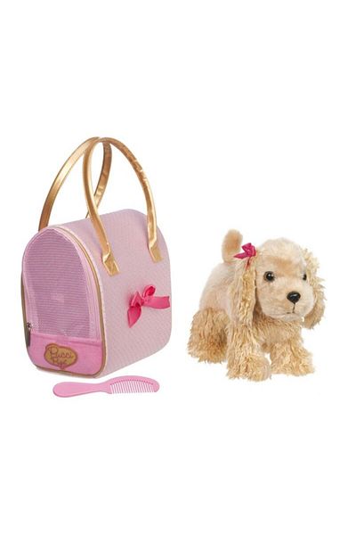 Pucci Pups C. Spaniel