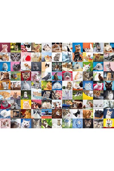 STOREMAX Nfmax 1500P Puz 99 Cat, Multicolor Fshnf 1051353