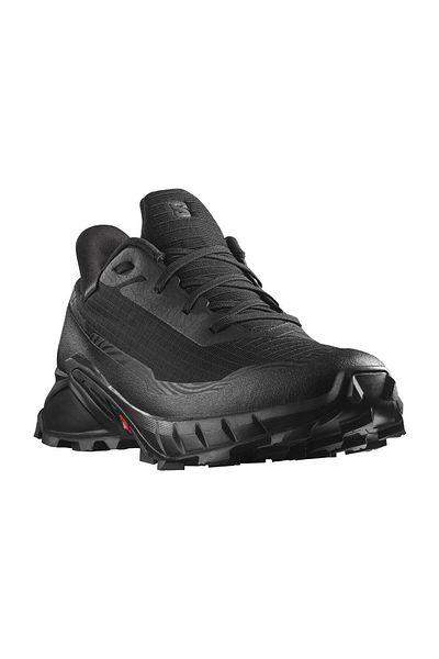 Salomon Alphacross 5 GTX męskie buty do biegania