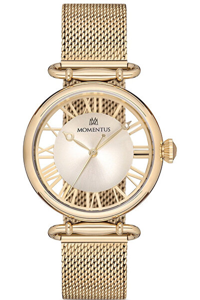 Momentus سي دبليو280جي-08إس جي