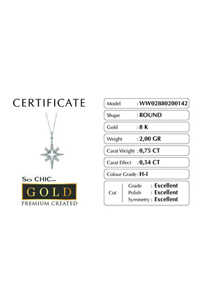 So CHIC... Beyaz Altın Sertifikalı Premium Created Taşlı Kutup Yıldızı Kolye