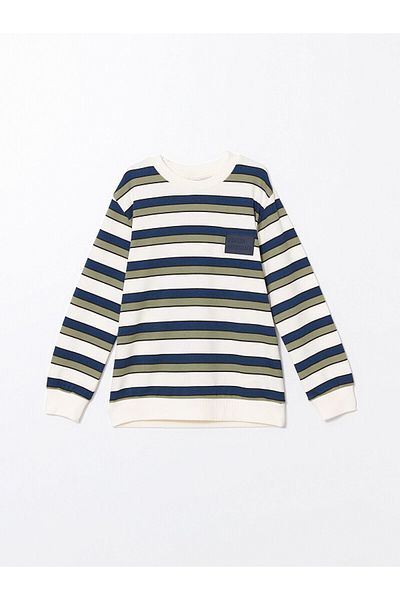 LC Waikiki Crew Neck Boy's T-Shirt