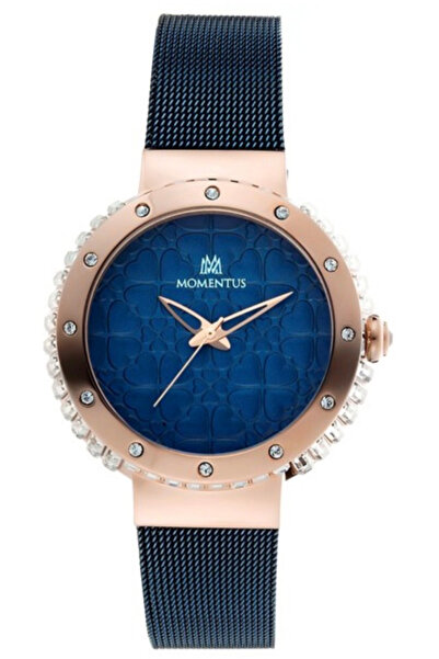 Momentus Sw100r-11sm