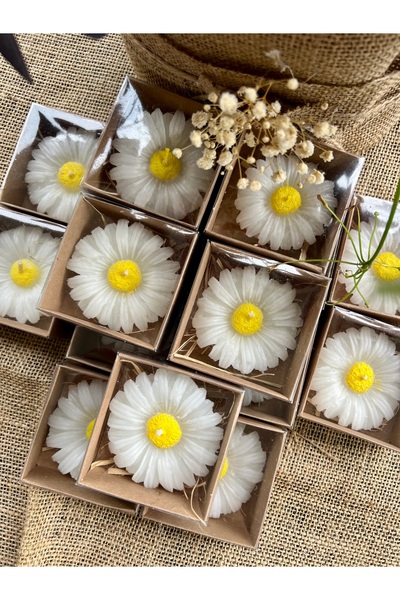 Larmina Decoration 15 شمعة ديزي مع صندوق كرافت