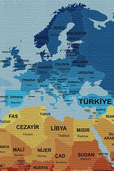 GLOBELUX Wall Cover / Carpet Detailed Current Turkish World Map Quality Canvas Fabric-3973