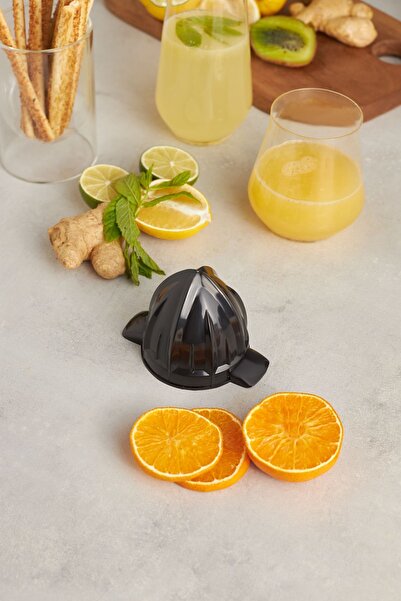 Karaca Freshmix Inox Citrus Juicer 601