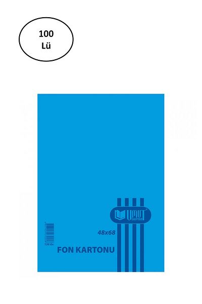 Rasanet Hope Fund Cardboard 48x68cm 130gr Light Blue 100pcs