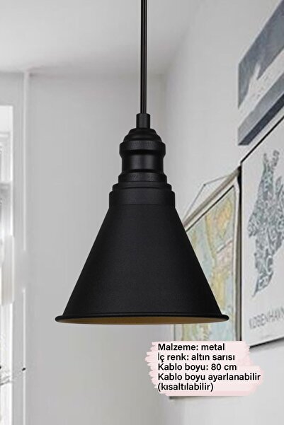 Bamyum Cole Siyah Metal Sarkıt Avize Lamba Rustik Vintage Iç Mekan Ofis Cafe Otel Mağaza Aydınlatma