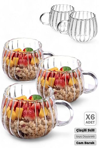 Madamev 6-Piece Striped 250 ml Heat-Resistant Coffee Cup - Presentation Cup, Mug with Handle Tea Cup