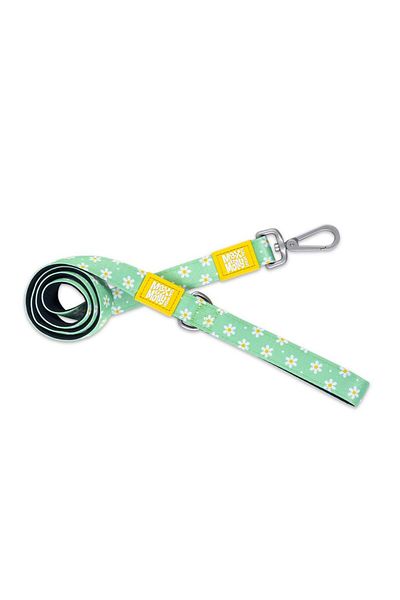 Max & Molly Max Molly Margarite - Dog Walking Strap Large