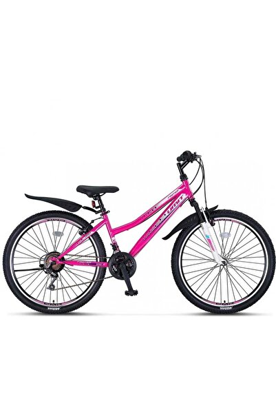 Ümit 2469 FASTER KADIN DAĞ BİSİKLETİ V 24 JANT 21 VİTES PEMBE LİLA