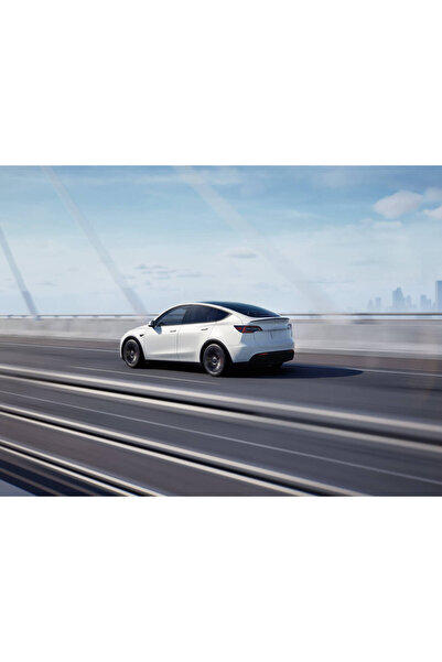 KaragözOtomotiv Tesla Model Y Kar Çorabı, A Kalite Yüksek Performanslı Kar Ço...