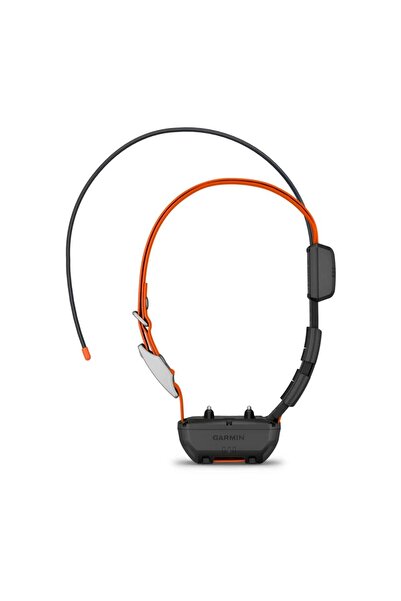 Garmin Alpha TT 25 - Köpek Tasması