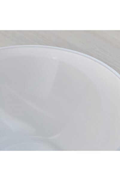 Home Box Adro Frosted Glass Decorative Bowl - 25x25x8.5 cm