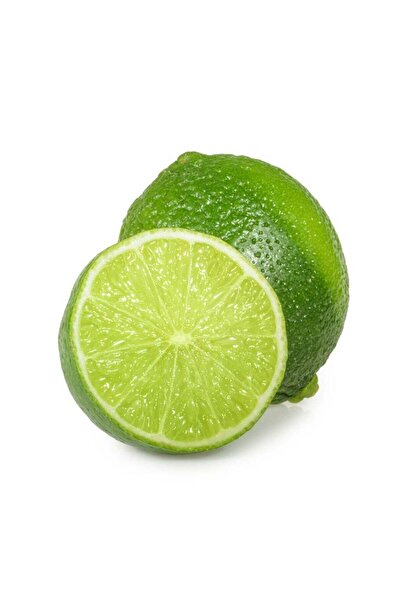 bitkifidan 3 Yaş Mexican Lime Fidanı (YEŞİL LİMON)