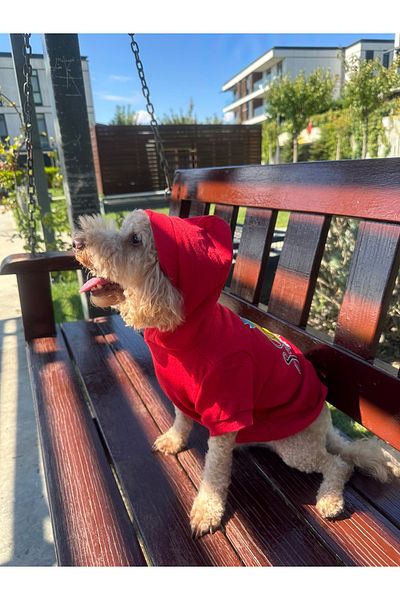 SayPuppy Small Breed Winter and Seasonal Red Dog Hooded Sweatshirt