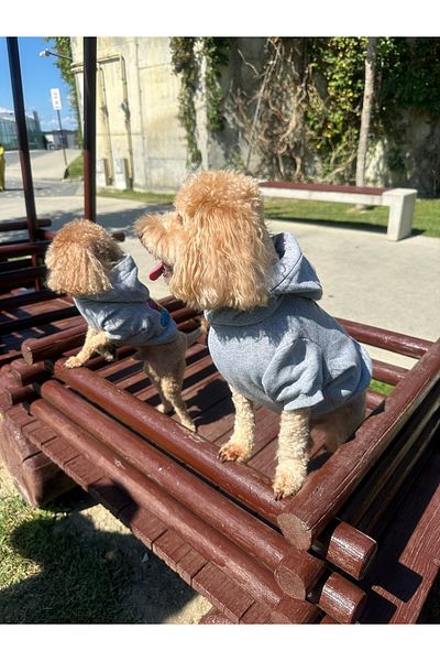 SayPuppy Small Breed Winter and Seasonal Gray Dog Hooded Sweatshirt