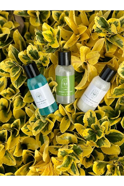 LUZ Otel Şampuanı 100 Adet Otel Duş Jeli 100 Adet Otel Saç Kremi 100 Adet Tek Kullanımlık Buklet Seti