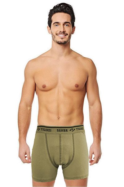 Seher Yıldızı Ανδρικό Lycra Cotton Boxer Frost 3 Pack