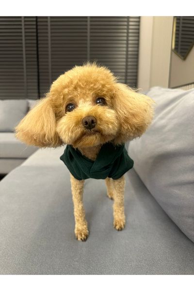 SayPuppy Small Breed Winter and Seasonal Green Dog Hooded Sweatshirt