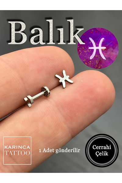 Karınca Piercing Zodiac Symbols Zodiac Ear Tragus Helix Cartilage Piercing Earring