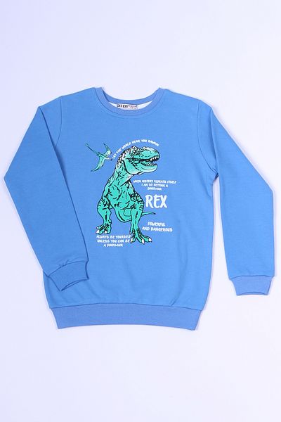 HÇM Boy's Dinosaur Printed Sweatshirt - Ribbed C54